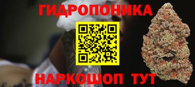 PSILOCYBIN Апшеронск