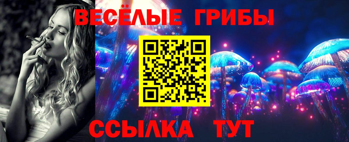 Галлюциногенные грибы Cubensis Волгодонск